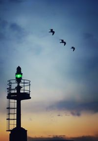 Low angle view of silhouette birds flying against sky