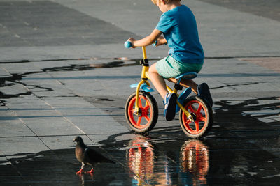 Boy cycling by pigeon on wet sidewalk 
