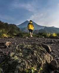 Rear view of man standing on rock