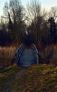 View of bare trees on landscape against sky