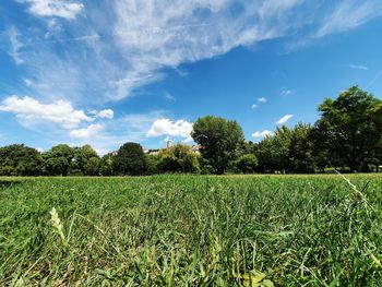 Scenic view of agricultural field against sky