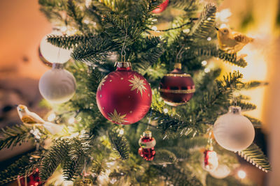 Close-up of decorated christmas tree