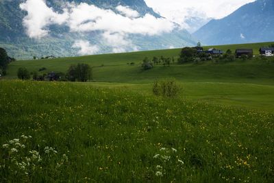 Scenic view of landscape against sky