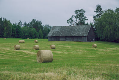 Hay bales on field against sky