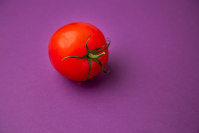 Close-up of red fruit against colored background