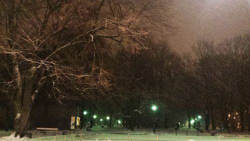 Illuminated street light at night