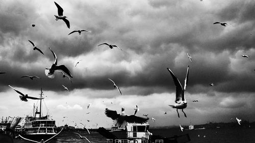 Low angle view of birds flying over cloudy sky