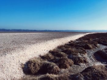 Scenic view of beach against clear blue sky