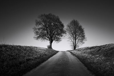 Road amidst trees on field against sky