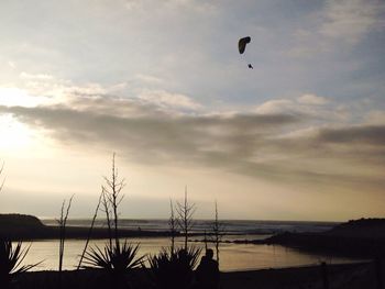 Silhouette birds flying over sea against sky