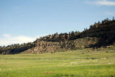 Scenic view of grassy field against sky