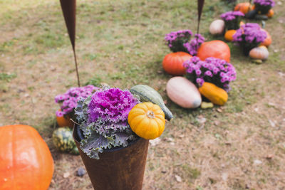 Halloween pumpkin and ornamental cabbage or flowering kale decoration in park
