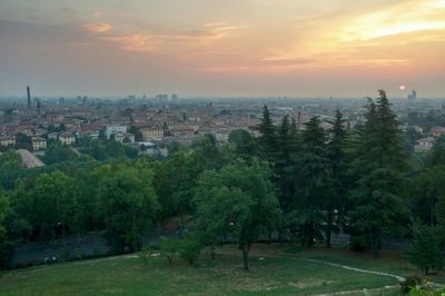 Trees on landscape against cloudy sky
