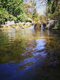 Scenic view of river in forest against sky