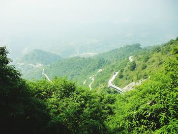 High angle view of lush foliage against sky