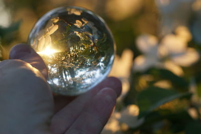 Close-up of hand holding crystal ball against plants