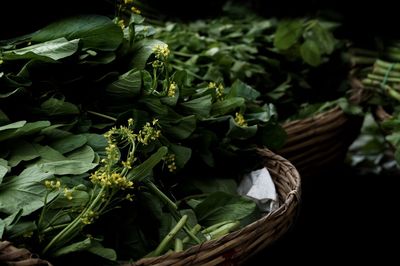 High angle view of leaves in basket