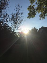 Low angle view of trees against sky