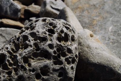 Close-up of rocks at shore