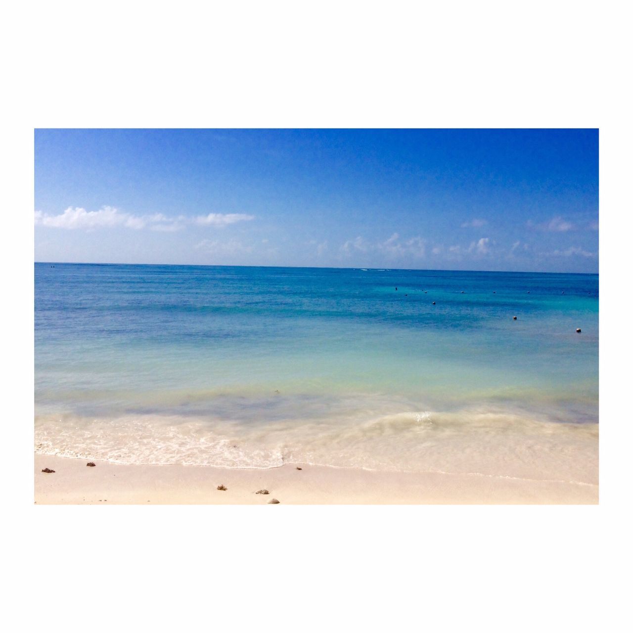 sea, horizon over water, transfer print, beach, water, auto post production filter, sky, scenics, tranquil scene, beauty in nature, sand, tranquility, shore, blue, nature, idyllic, day, outdoors, coastline, bird