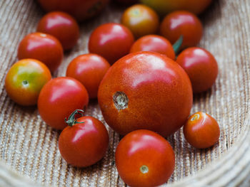 Close-up of tomatoes on table