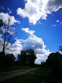 Low angle view of trees against sky