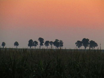Scenic view of field against sky during sunset