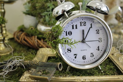 Close-up of alarm clock and plants on table