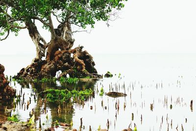 Panoramic view of sea against clear sky