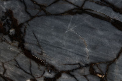 Full frame shot of dried leaf