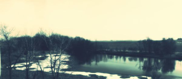 Reflection of trees in water