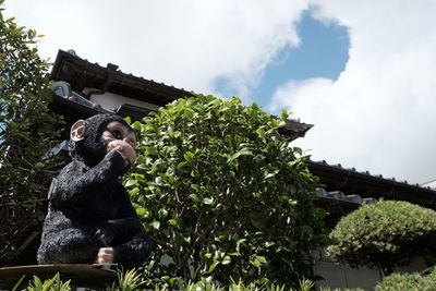 Low angle view of man standing in front of trees against cloudy sky