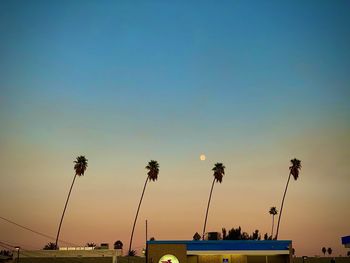 Silhouette palm trees by sea against clear sky during sunset