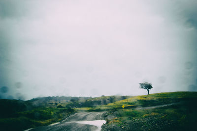 Road amidst trees against sky