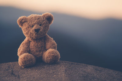 Close-up of stuffed toy on rock against sky at dusk