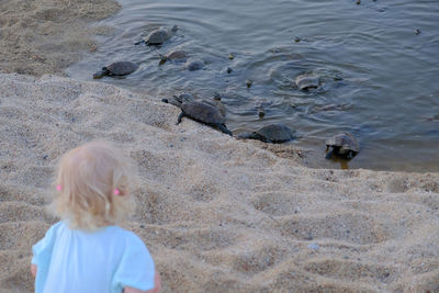 High angle view of girl on beach