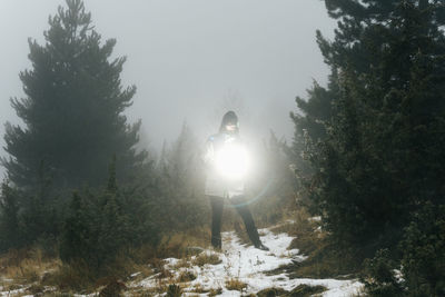 Low angle view of people walking in forest