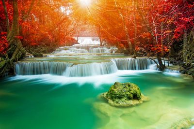 Scenic view of waterfall in forest during autumn