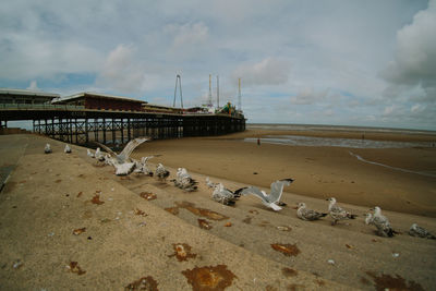 Scenic view of beach against sky