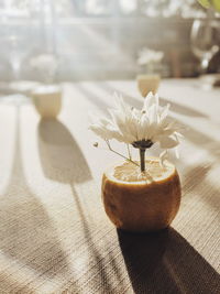 Close-up of white flower with citrus fruit on table