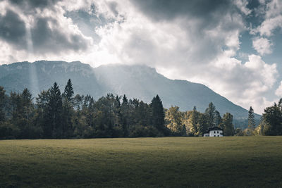 Scenic view of field against sky