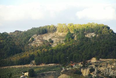 Scenic view of green landscape and mountains against sky