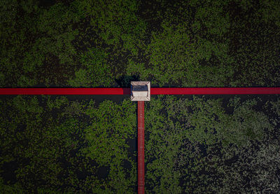 Red wooden bridge at park in chiang khruea,lotus park at sakon nakhon, thailand