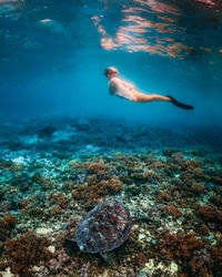 Young woman swimming underwater in sea