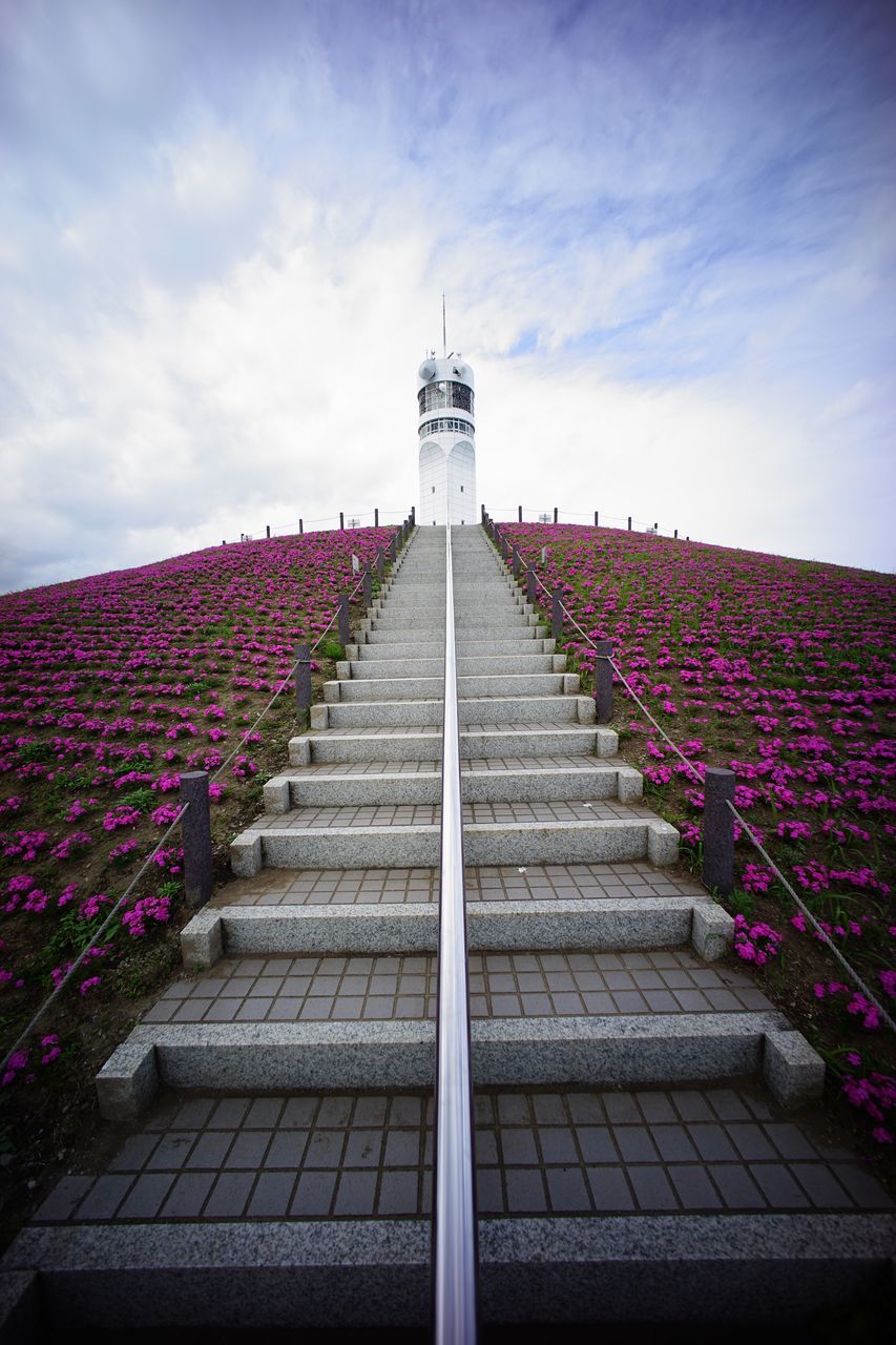 sky, built structure, cloud - sky, architecture, flower, low angle view, building exterior, cloud, blue, growth, day, the way forward, plant, protection, nature, cloudy, outdoors, steps, no people, beauty in nature