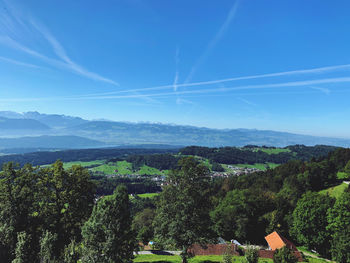 Scenic view of tree and mountains against sky