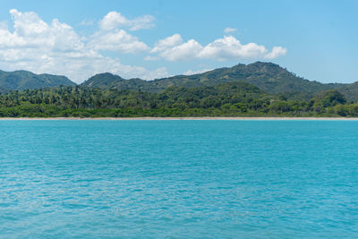 Beach - amber cove - puerto plata province - dominican republic