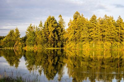 Scenic view of lake against cloudy sky