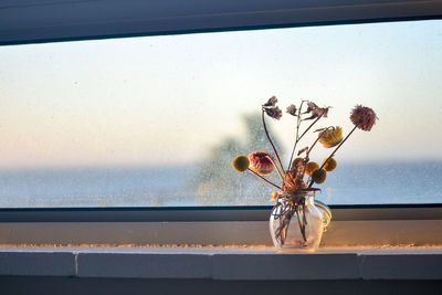 Close-up of flower vase on window sill