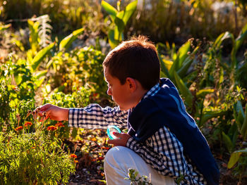 Side view of boy holding plant in park